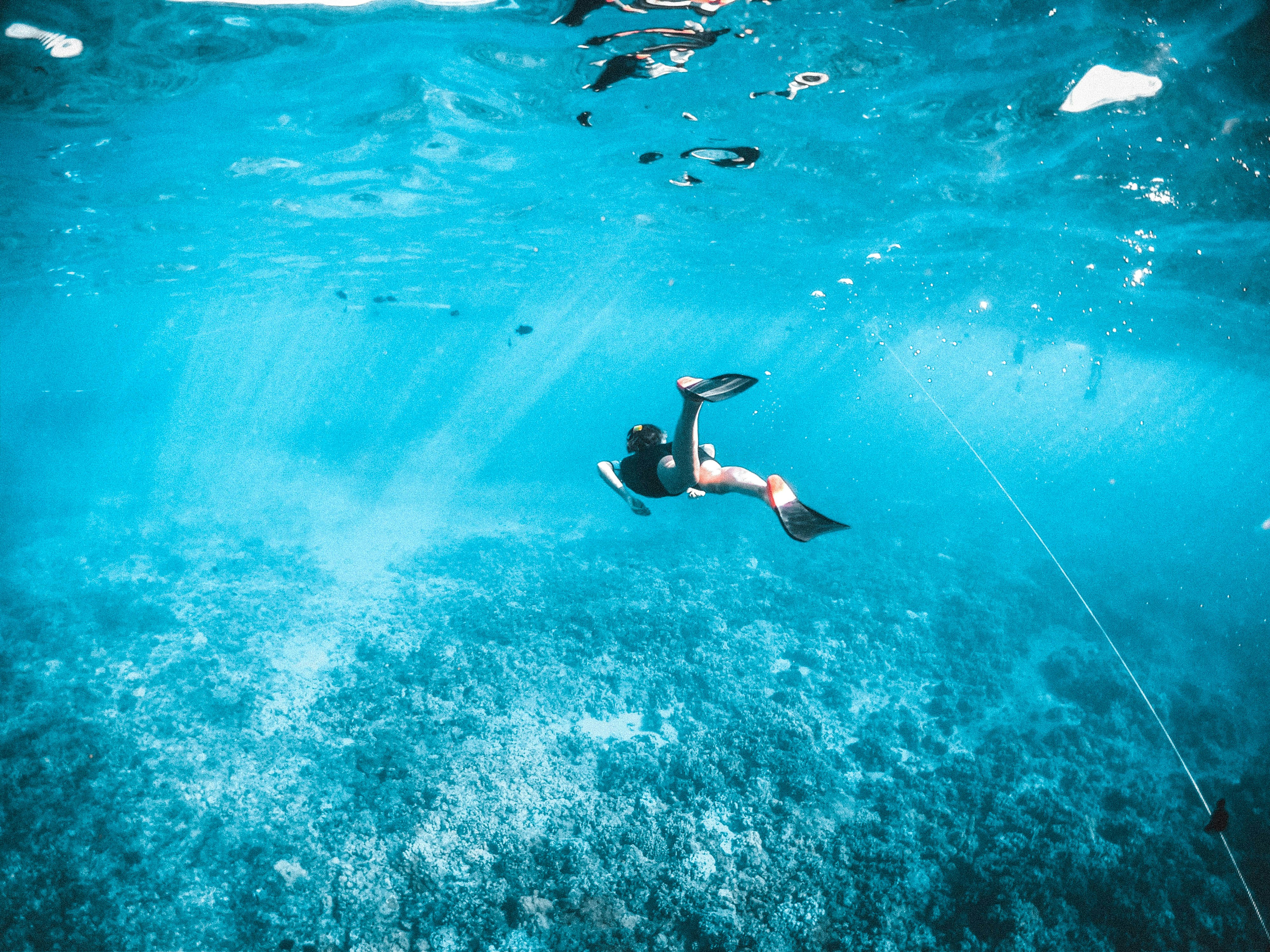 Freediving Image